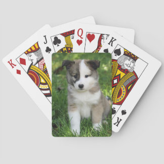 Islandhundwelpe Splitface Pokerkaarten