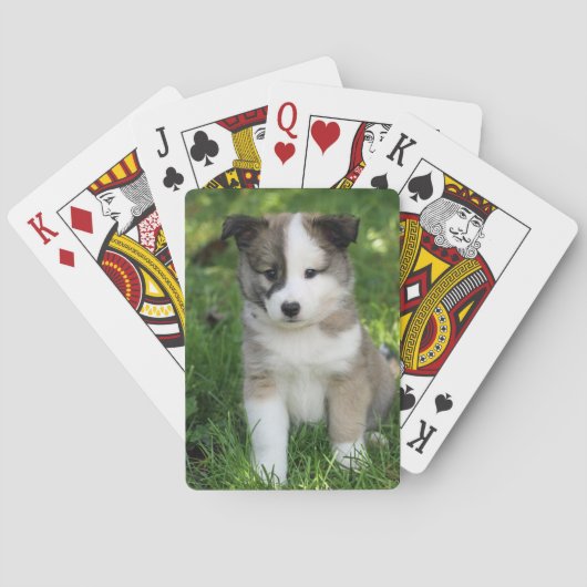 Islandhundwelpe Splitface Pokerkaarten (Achterkant)