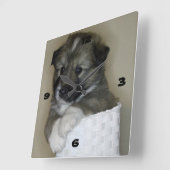 Islandhundwelpe Vierkante Klok (Hoek)