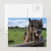 Islandpferd, Isländer Briefkaart (Voorkant / Achterkant)