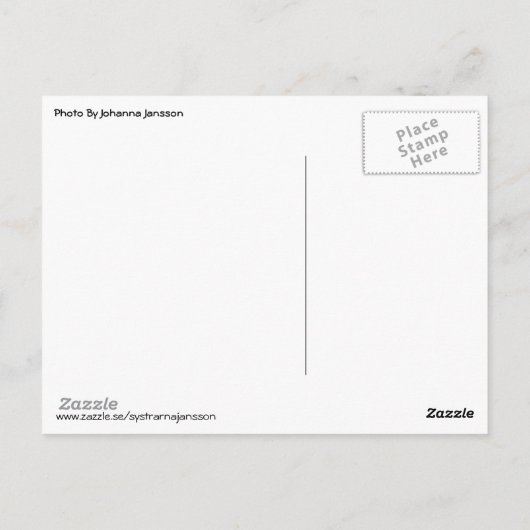 Islands Hästar - Häst Briefkaart (Achterkant)