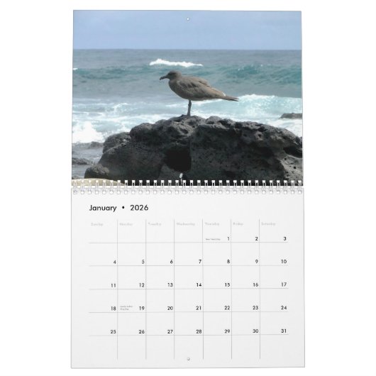 Islands of Galapagos Kalender (Jan 2026)