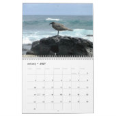 Islands of Galapagos Kalender (Jan 2027)