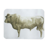 Islay Bull 2004 Magneet (Horizontaal)