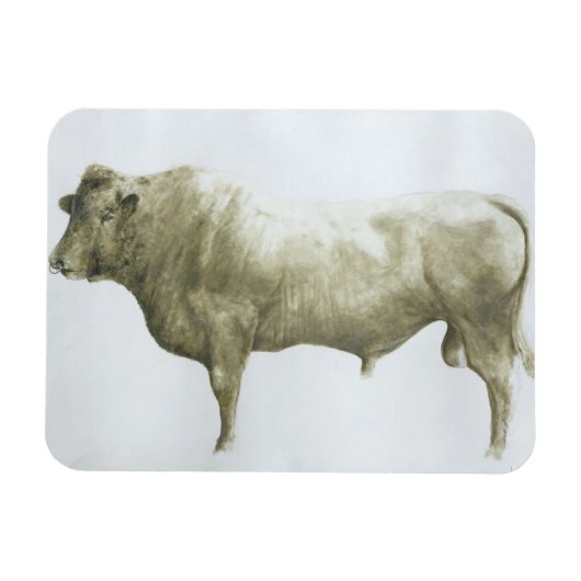 Islay Bull 2004 Magneet (Horizontaal)