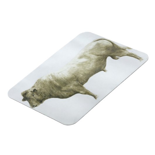 Islay Bull 2004 Magneet (Linkerzijde)