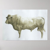 Islay Bull 2004 Poster (Voorkant)