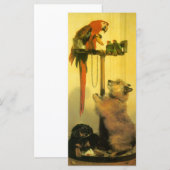 Islay, Tilco, a Macaw en Tortelduifjes van Landsee (Voorkant / Achterkant)