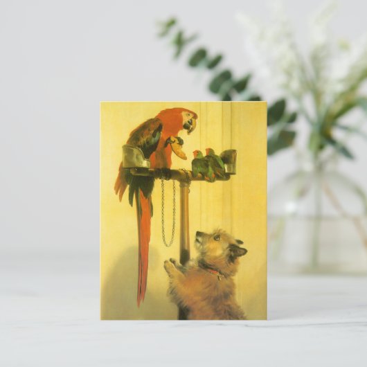 Islay, Tilco, a Macaw en Tortelduifjes van Landsee Briefkaart (Staand voorkant)