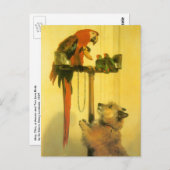 Islay, Tilco, a Macaw en Tortelduifjes van Landsee Briefkaart (Voorkant / Achterkant)