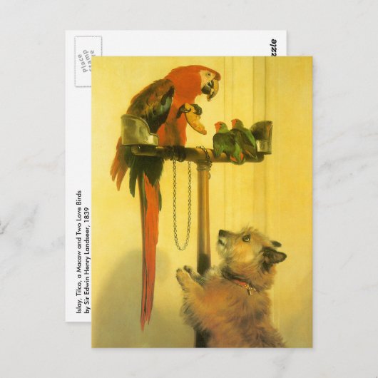 Islay, Tilco, a Macaw en Tortelduifjes van Landsee Briefkaart (Voorkant / Achterkant)