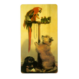 Islay, Tilco, a Macaw en Tortelduifjes van Landsee Etiket