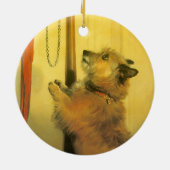 Islay, Tilco, a Macaw en Tortelduifjes van Landsee Keramisch Ornament (Achterkant)