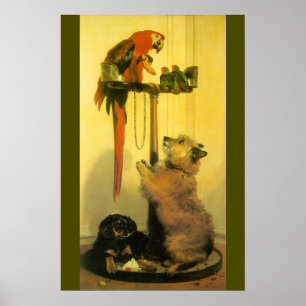 Islay, Tilco, a Macaw en Tortelduifjes van Landsee Poster