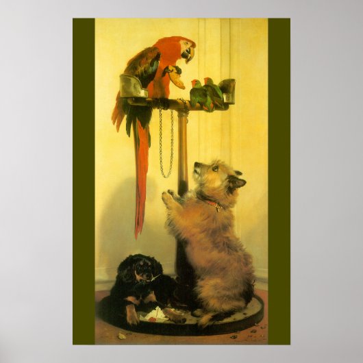 Islay, Tilco, a Macaw en Tortelduifjes van Landsee Poster (Voorkant)