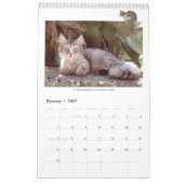 Isle of Capri Wall Calendar Kalender (Feb 2027)