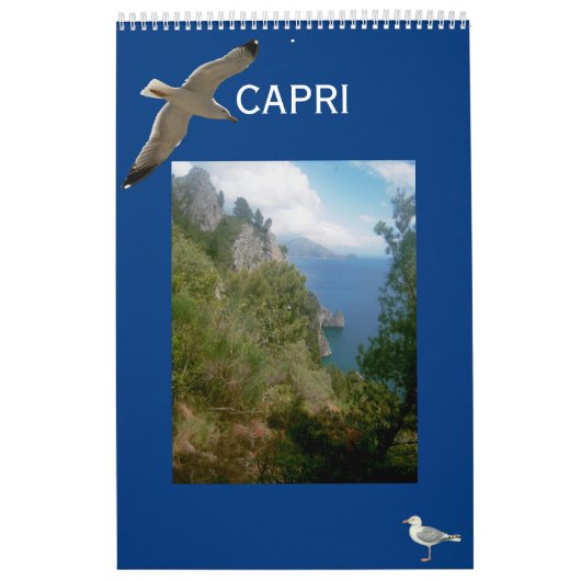 Isle of Capri Wall Calendar Kalender (Hoes)