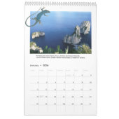 Isle of Capri Wall Calendar Kalender (Jan 2026)
