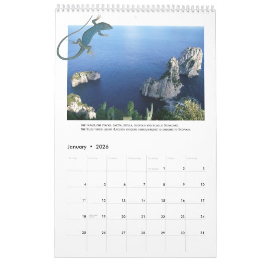 Isle of Capri Wall Calendar Kalender (Jan 2026)
