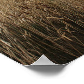 Isle of Whithorn Tower, Schotland Poster (Hoek)