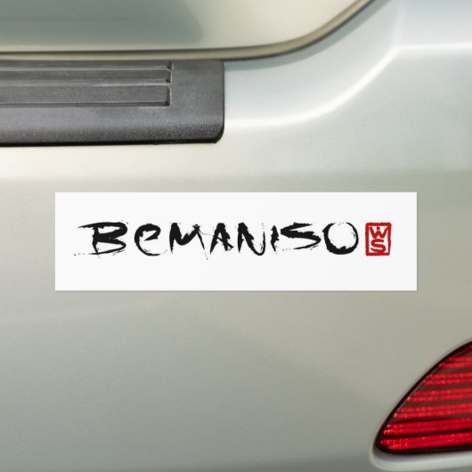 #iso stickit bumpersticker (Op auto)
