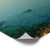 Isola Pescatori I, Lake Maggiore, Italiaanse archi Poster (Hoek)