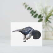 Isolate reuzenanteater die loopt briefkaart (Staand voorkant)