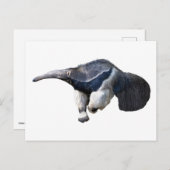 Isolate reuzenanteater die loopt briefkaart (Voorkant / Achterkant)