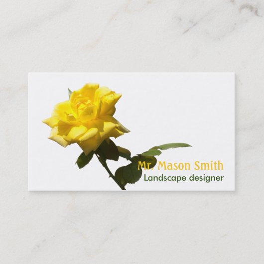 Isolate Yellow rose - sjabloon Visitekaartje (Voorkant)