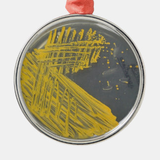 Isolation Streak of Bacteria Metalen Ornament