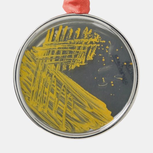 Isolation Streak of Bacteria Metalen Ornament (Voorkant)