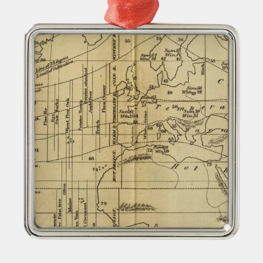 Isothermisch diagram metalen ornament (Voorkant)
