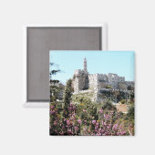 Israël 22 magneet (Voorkant / Achterkant)