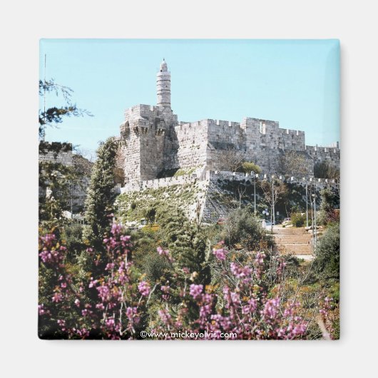 Israël 22 magneet (Voorkant)