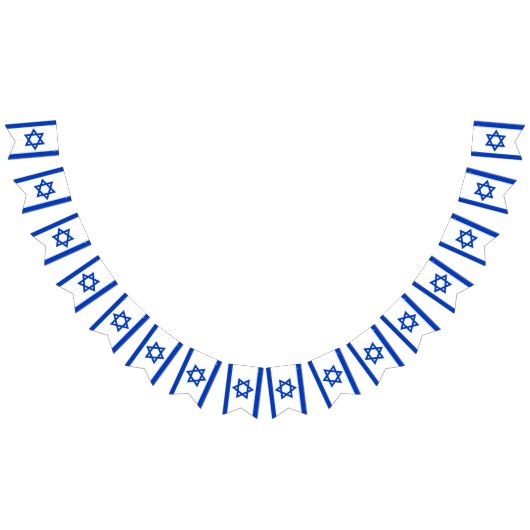 Israel Independence Day Yom Ha'atzmaut Vlaggetjes (Alle)