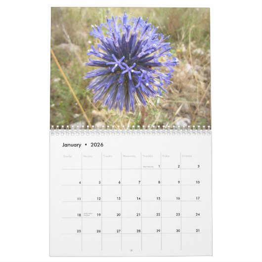 israël kalender (Jan 2026)