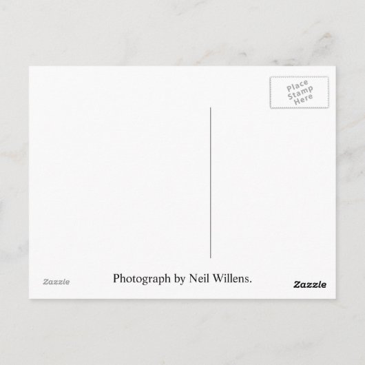 Israel Post Kaart (Achterkant)