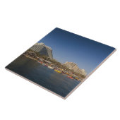 Israel, The Negev, Eilat, Red Zee beachfront Tegeltje (Zijkant)