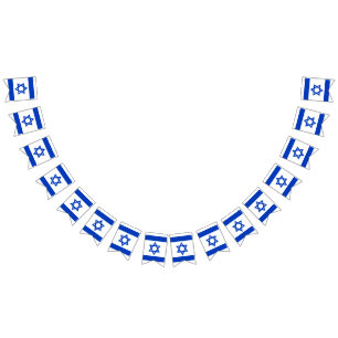 Israël vlag blauw wit patriottische bunting banner