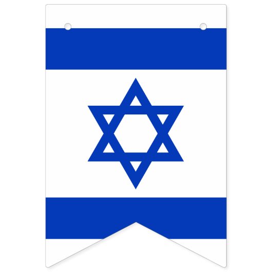 Israël vlag blauw wit patriottische bunting banner (Tweede vlag)