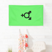 Israeli Transgender Pride Flag  Spandoek (Insitu)
