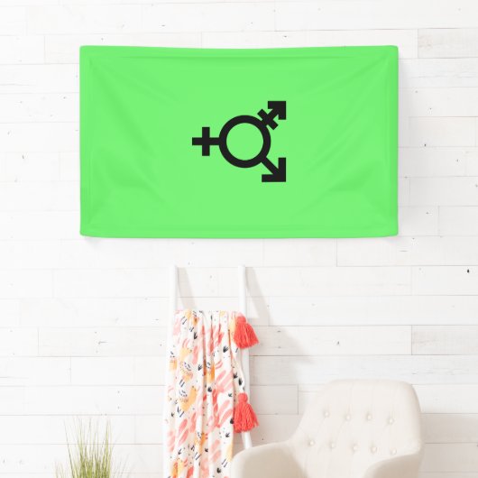 Israeli Transgender Pride Flag  Spandoek (Insitu)