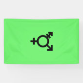 Israeli Transgender Pride Flag  Spandoek (Horizontaal)