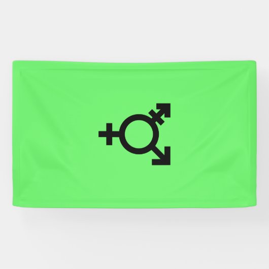 Israeli Transgender Pride Flag  Spandoek (Horizontaal)