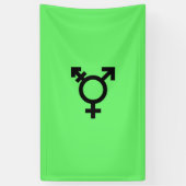 Israeli Transgender Pride Flag  Spandoek (Verticaal)