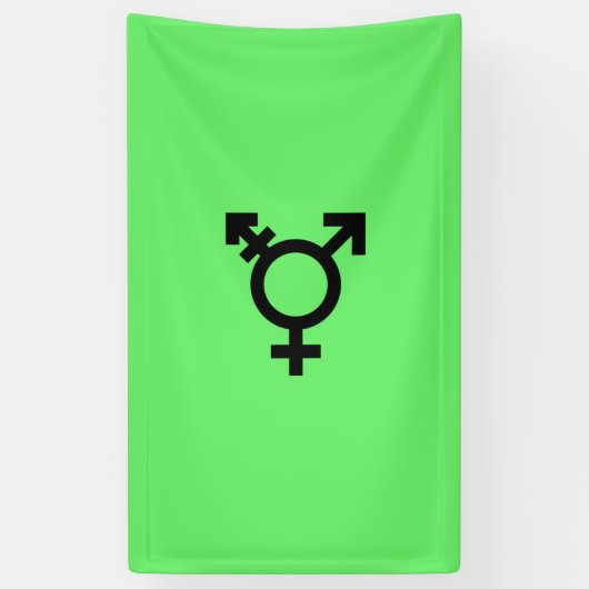 Israeli Transgender Pride Flag  Spandoek (Verticaal)
