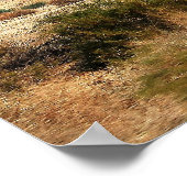 Israëlisch woestijnposter met de Shema Poster (Hoek)