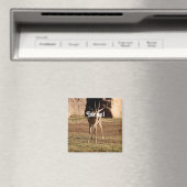 Israëlische Gazelle Magneet (Insitu (Vaatwasser))