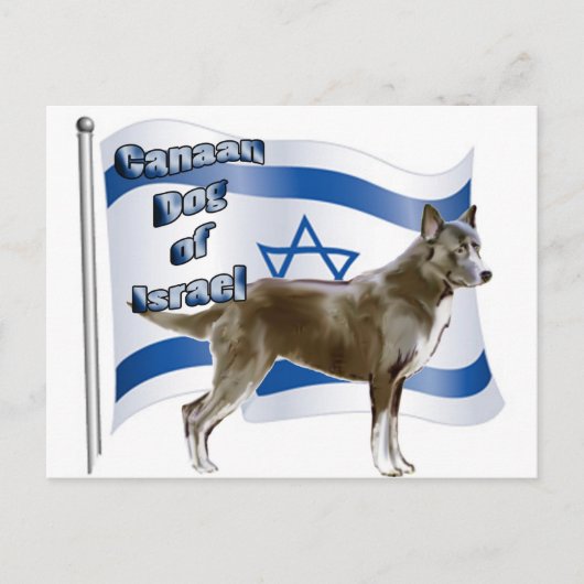 Israëlische hond van Canaan Briefkaart (Voorkant)