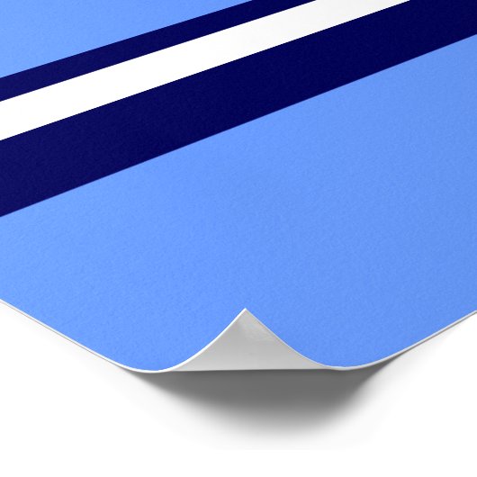 Israëlische luchtmacht, Israëlische vlag Poster (Hoek)